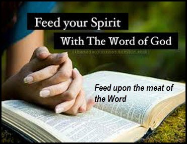 hebrews 5 feed spirit word